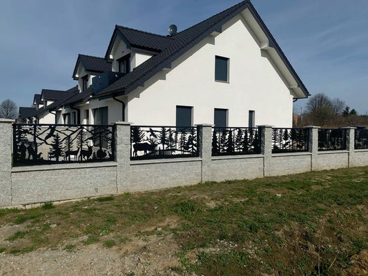 Modern house with a decorative metal fence in a rural setting