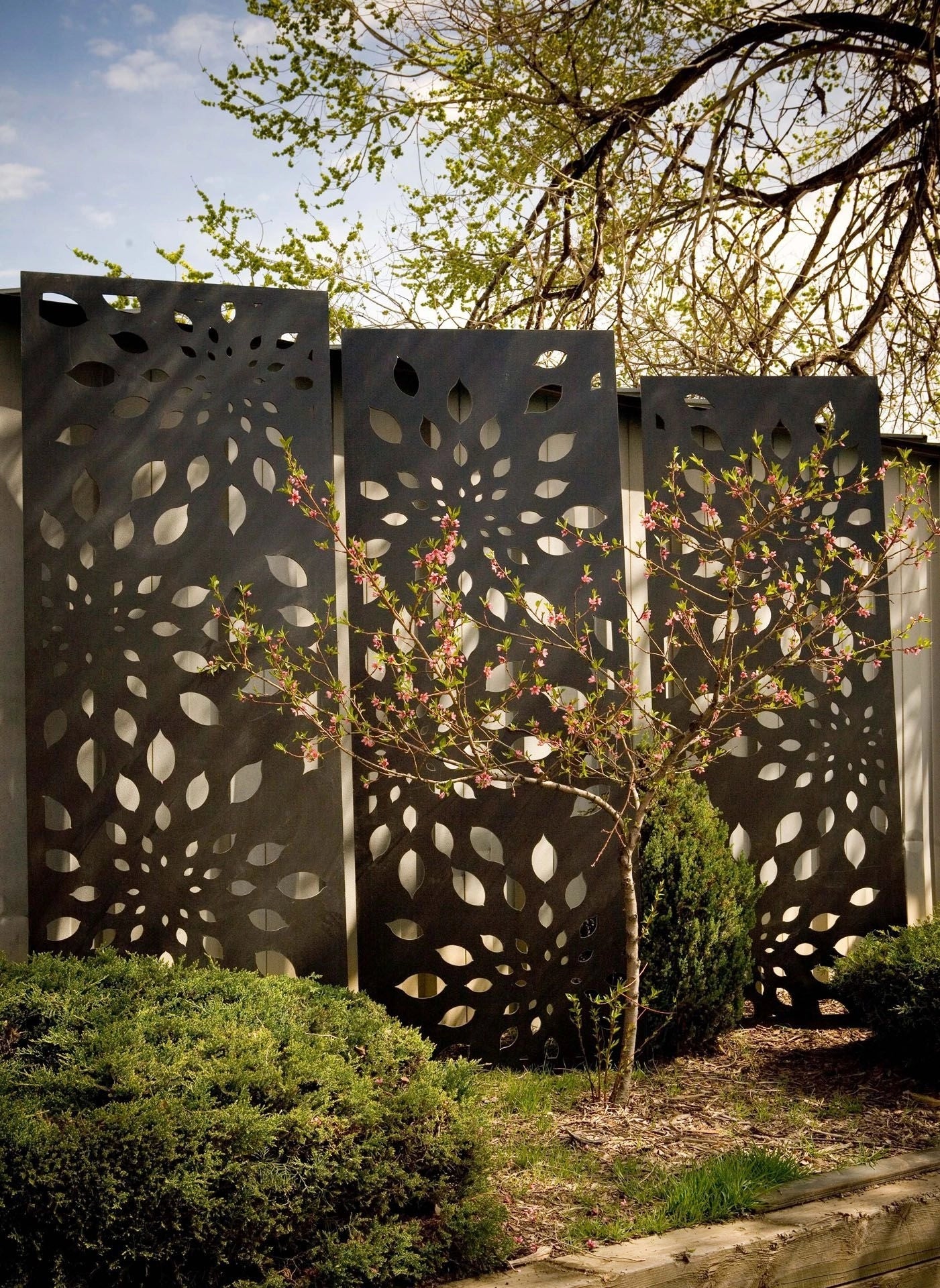 Decorative metal garden screen with tree and shrubs in a garden setting